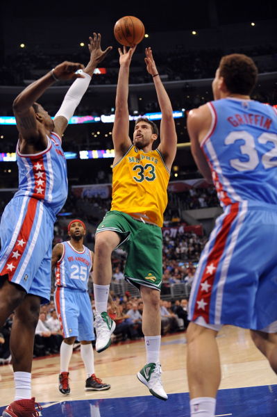 腱的恢复 腱的恢复