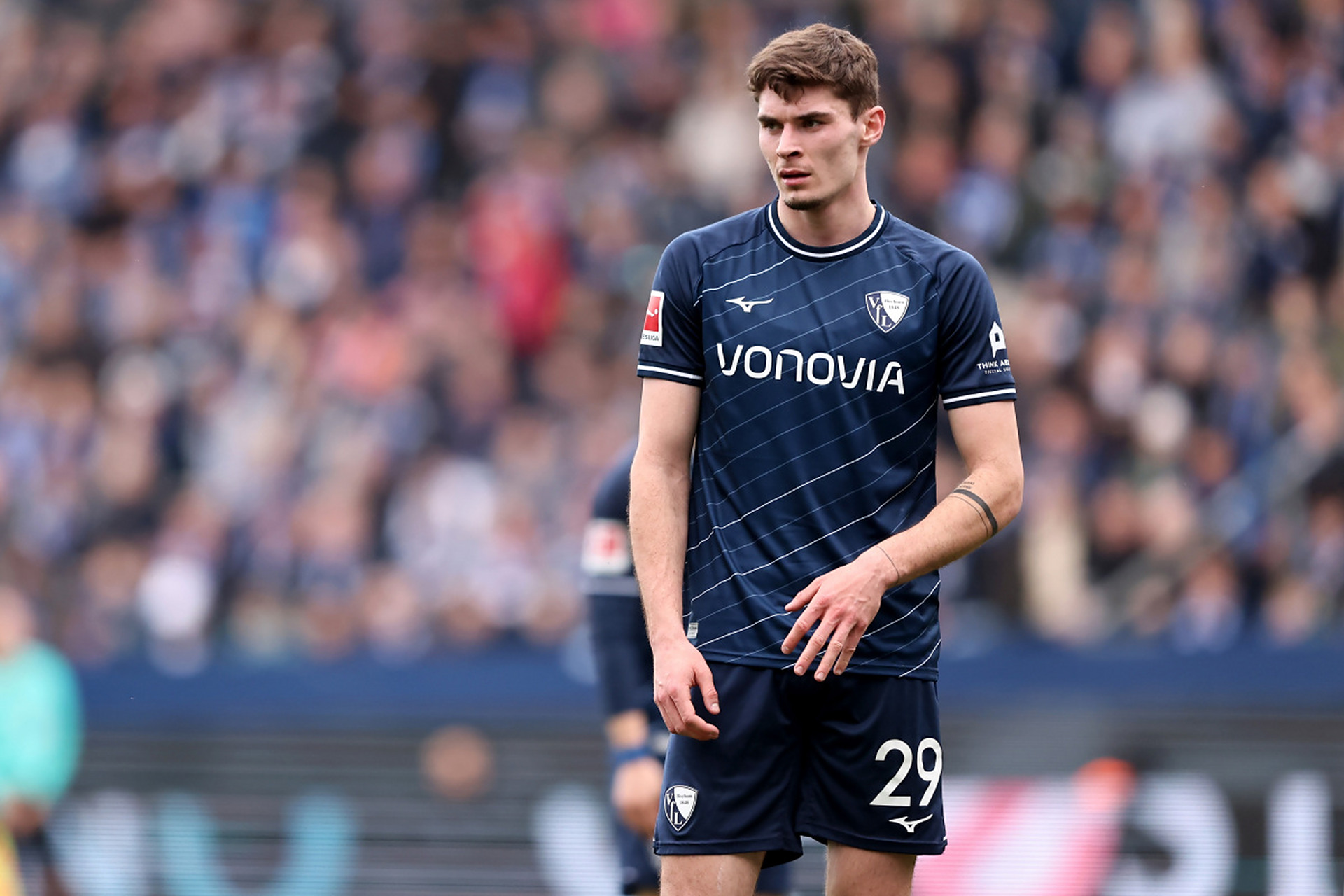 这一荣誉象 这一荣誉象