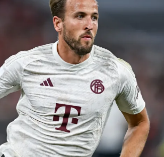 自己会利用 自己会利用