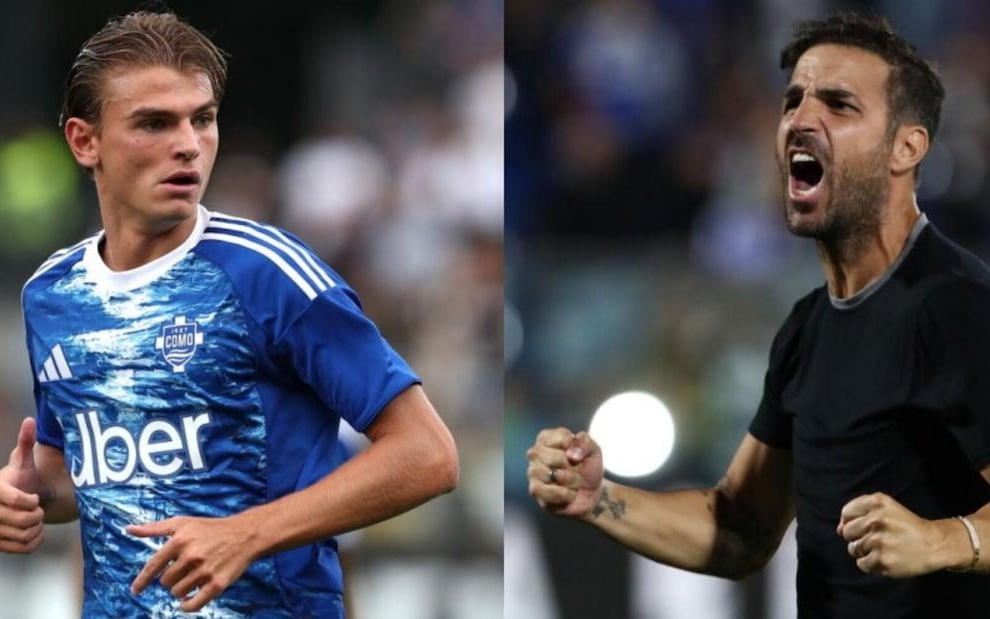 态和战术灵 态和战术灵